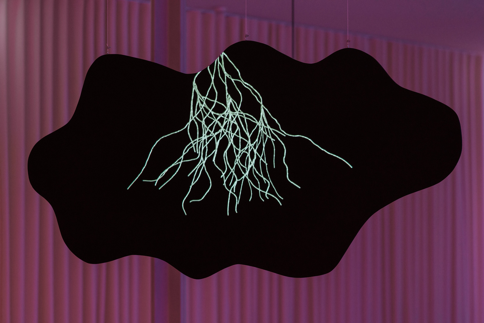 Nets of Hyphae